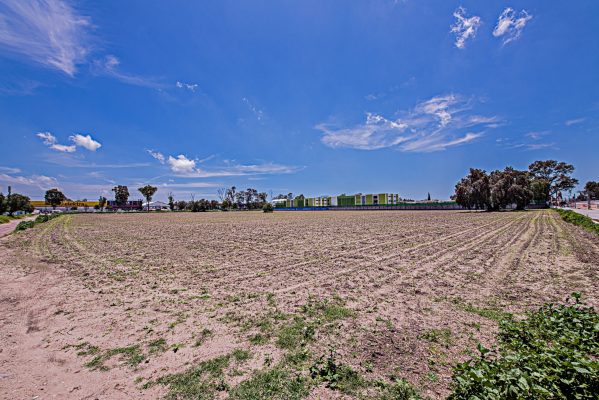 _DSC9690-Edit