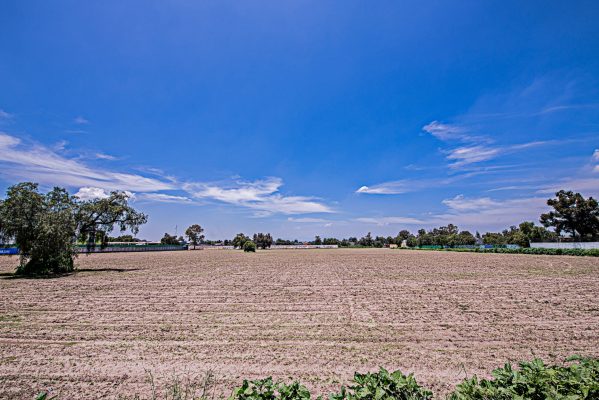 _DSC9699-Edit